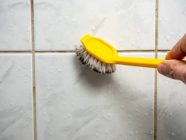 Best Commercial Mold Remediation in Montalvin Manor, CA