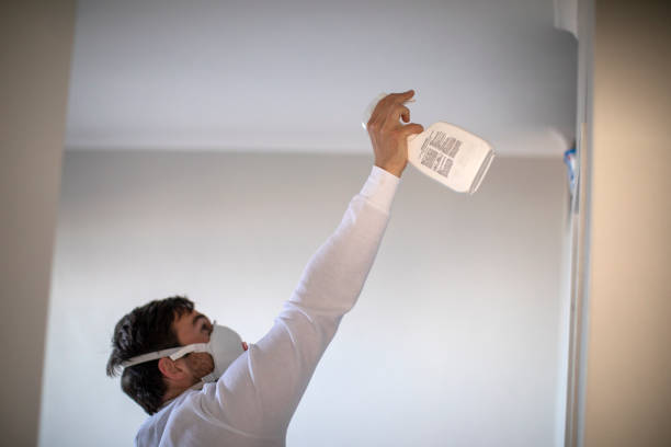 Best White Mold Remediation in Montalvin Manor, CA