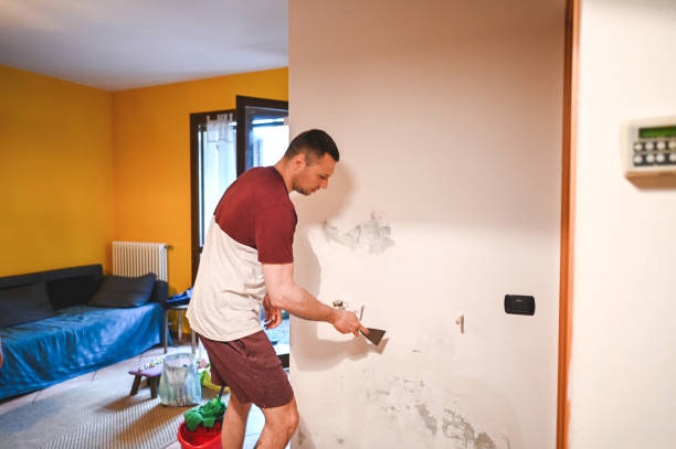 Best Mold Testing and Inspection Services in Montalvin Manor, CA